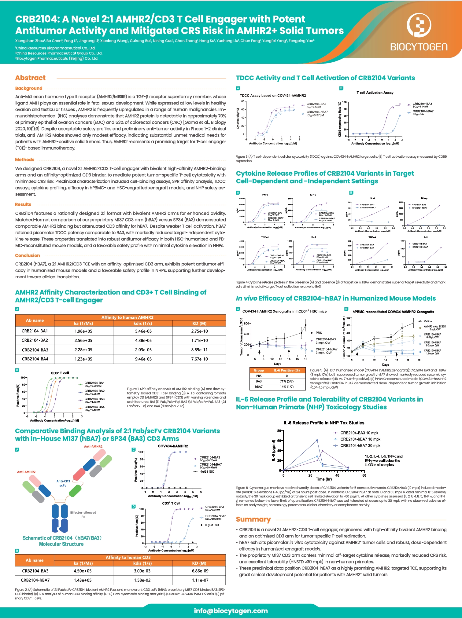 PEGS Boston 2026: CRB2104: A Novel 2:1 AMHR2/CD3 T Cell Engager with Potent Antitumor Activity and Mitigated CRS Risk in AMHR2+ Solid Tumors