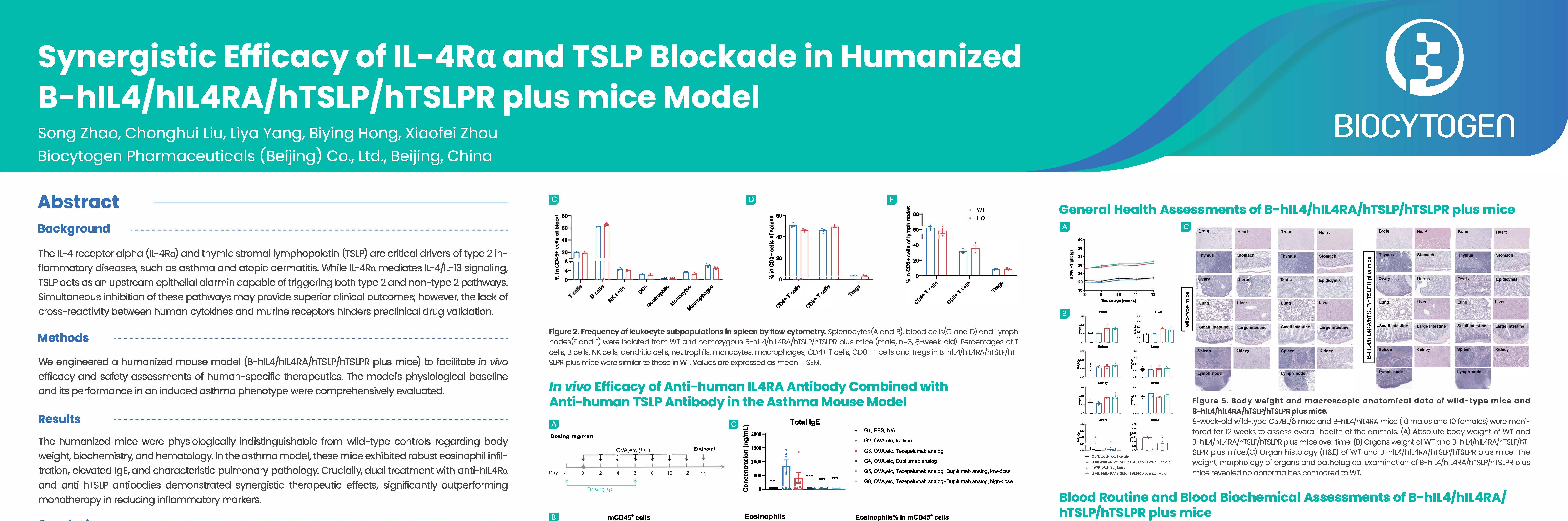 Sanofi 2026: Synergistic Efficacy of IL-4R&alpha; and TSLP Blockade in Humanized B-hIL4/hIL4RA/hTSLP/hTSLPR plus mice Model