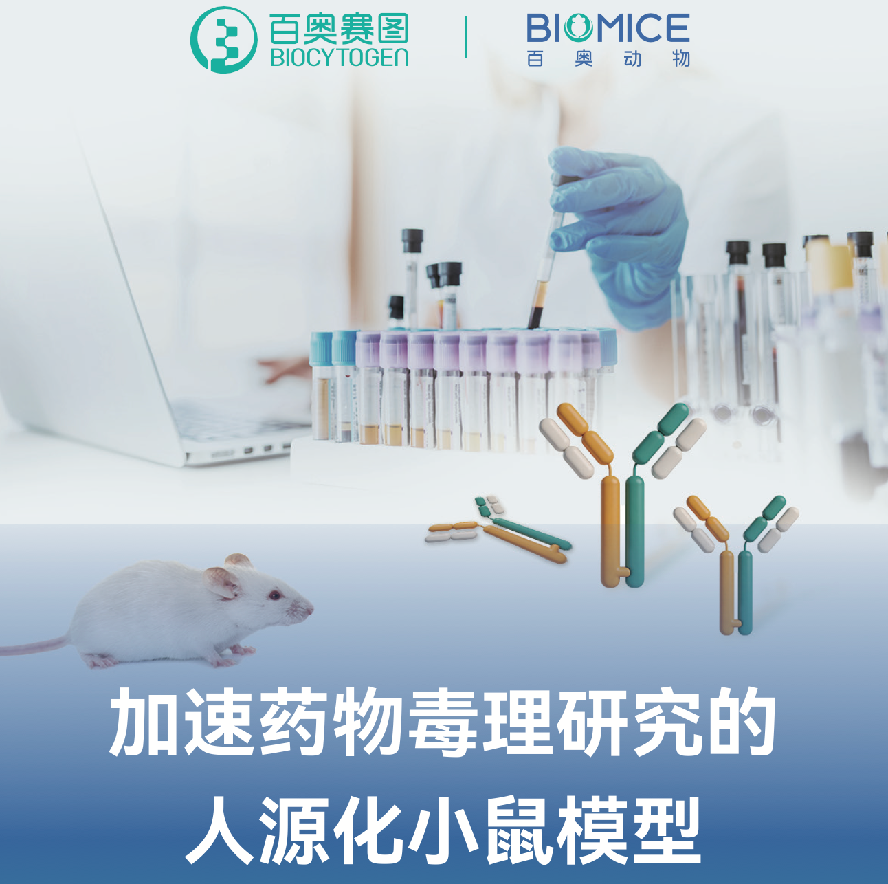 加速药物毒理研究的人源化小鼠模型