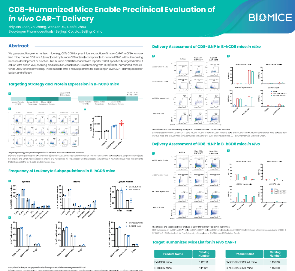 In Vivo Cell Engineering & Gene Editing Summit 2026: CD8-Humanized Mice Enable Preclinical Evaluation of in vivo CAR-T Delivery
