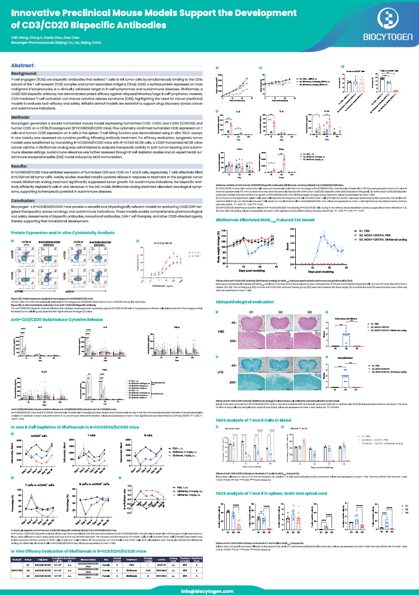 Tumor Models Boston 2026: Innovative Preclinical Mouse Models Support the Development of CD3/CD20 Bispecific Antibodies