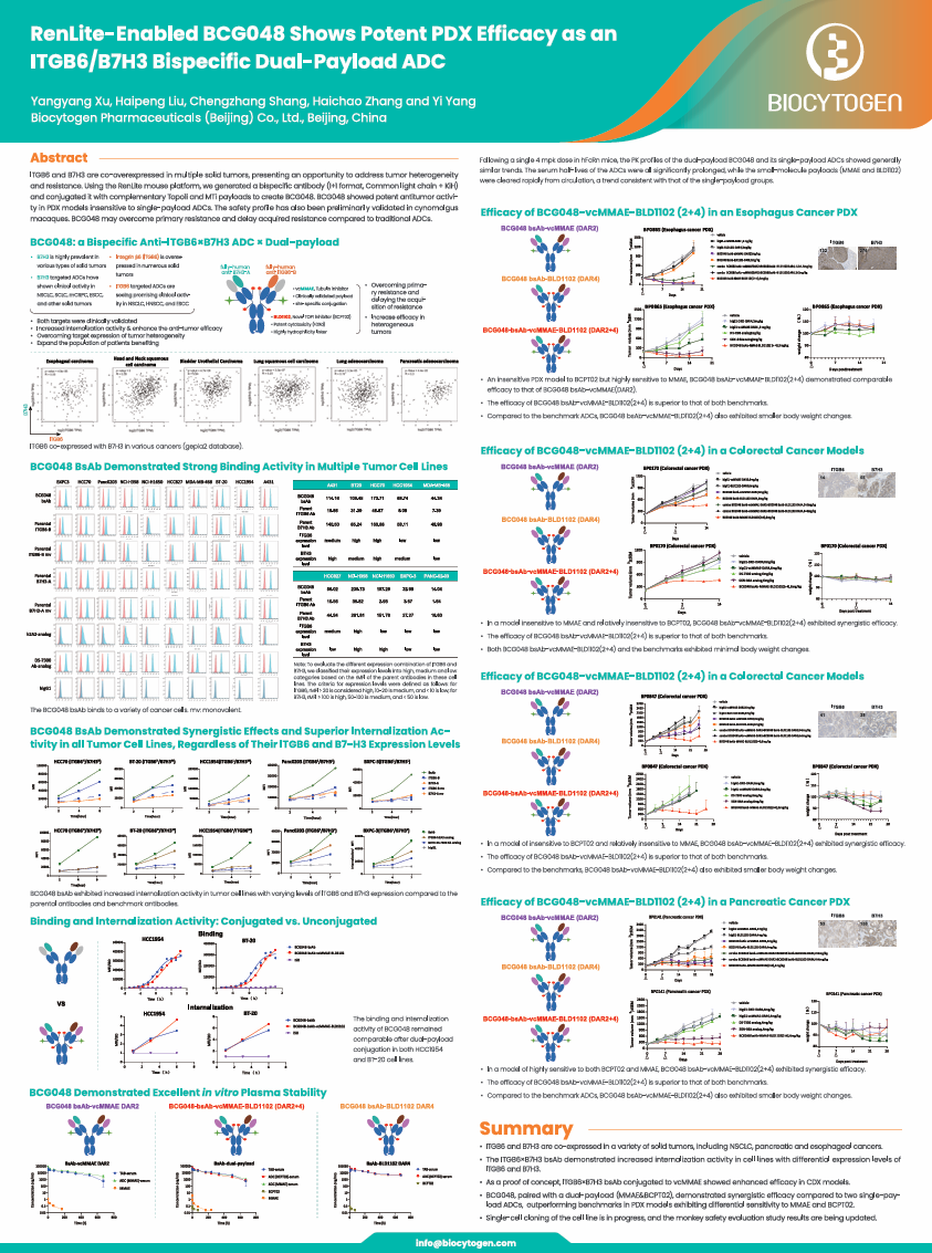 17th World Bispecific Summit: RenLite-Enabled BCG048 Shows Potent PDX Efficacy as an ITGB6/B7H3 Bispecific Dual-Payload ADC