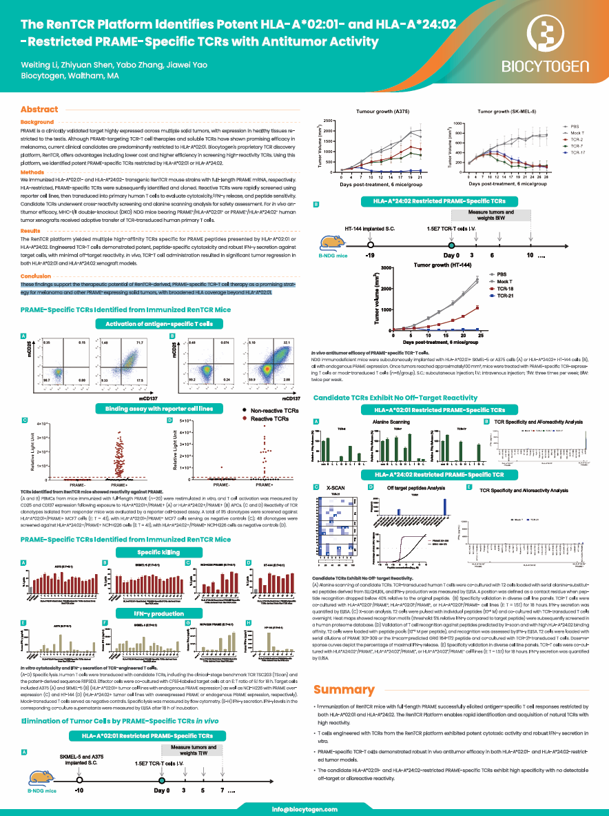 11th CAR-TCR Summit: The RenTCR Platform Identifies Potent HLA-A*02:01- and HLA-A*24:02-Restricted PRAME-Specific TCRs with Antitumor Activity
