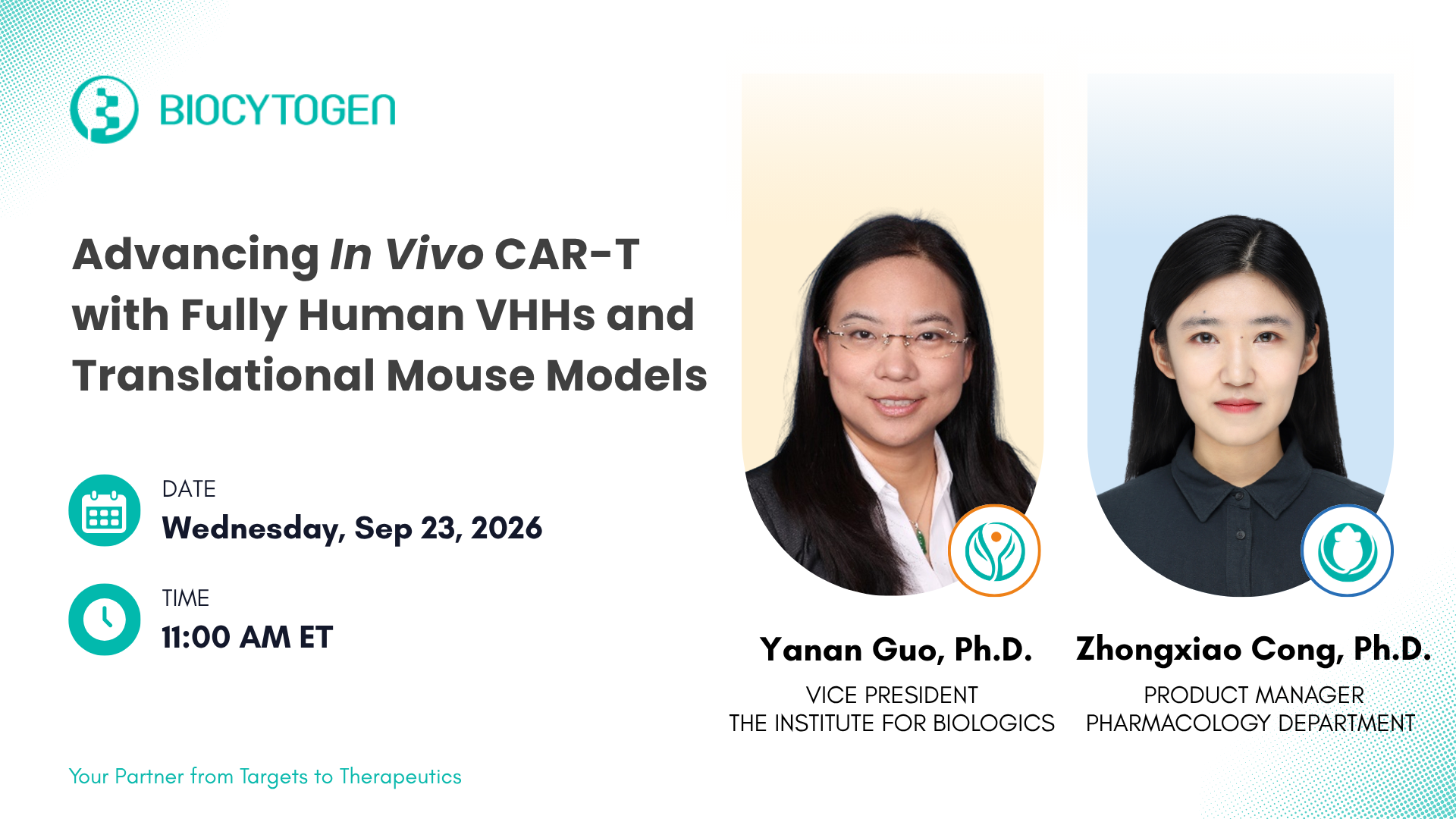 Advancing In Vivo CAR-T with Fully Human VHHs and Translational Mouse Models