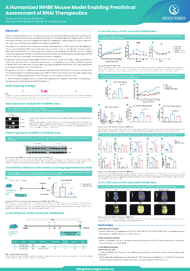 OTS 2026: A Humanized INHBE Mouse Model Enabling Preclinical Assessment of RNAi Therapeutics