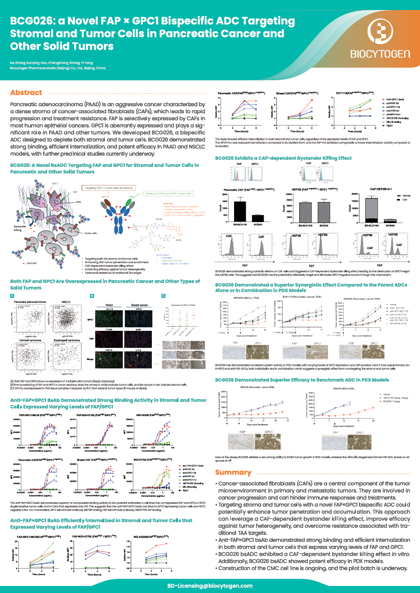 World ADC 2026: BCG026: a Novel FAP x GPC1 Bispecific ADC Targeting Stromal and Tumor Cells in Pancreatic Cancer and Other Solid Tumors