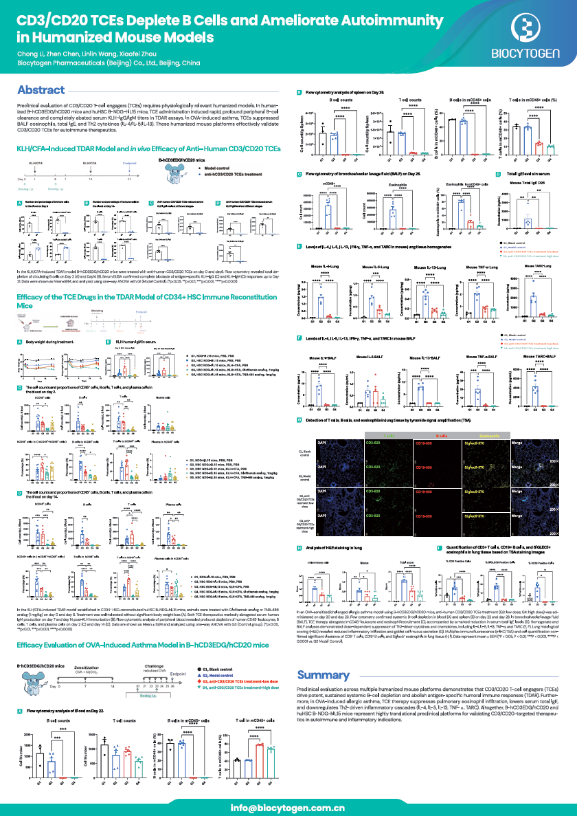 T-Cell Engager for Autoimmune Disease Summit 2026: CD3/CD20 TCEs Deplete B Cells and Ameliorate Autoimmunity in Humanized Mouse Models