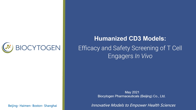 Humanized CD3 Models: Efficacy and Safety Screening of T Cell Engagers In Vivo