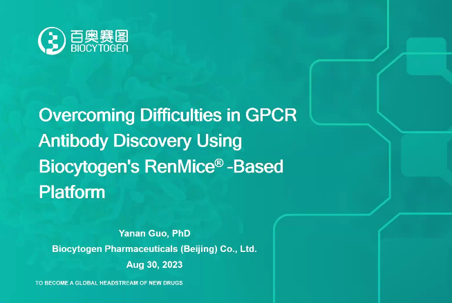 Overcoming Difficulties in GPCR Antibody Discovery Using Biocytogen's RenMice-Based Platform