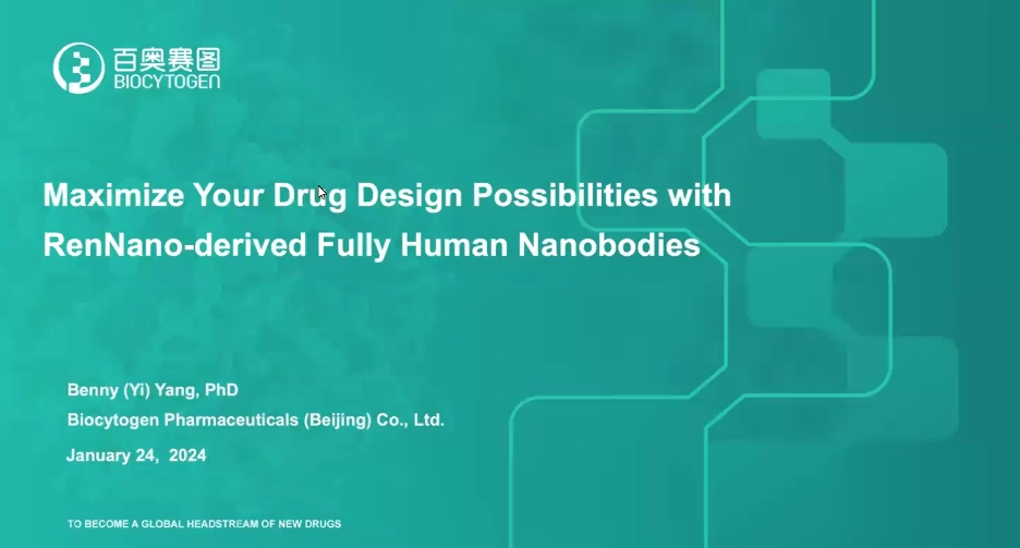 Maximize Your Drug Design Possibilities with RenNano-derived Fully Human Nanobodies