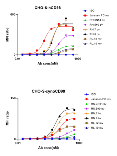 CHO-S-hCD98 image