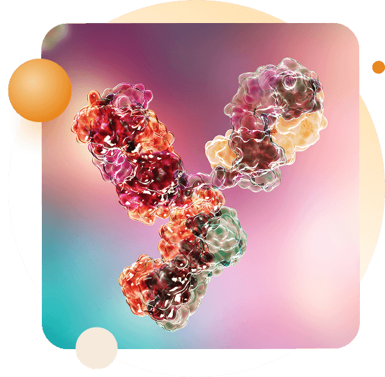 DLL3 × CD3 × 4-1BB Trispecific T Cell Engager (BCG024) banner