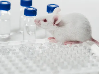 Preclinical Services