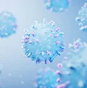 Inflammation and Autoimmunity