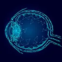Ophthalmology