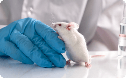 Preclinical Research Banner