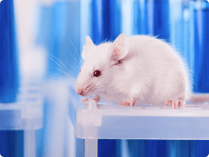 Animal and Cell Models