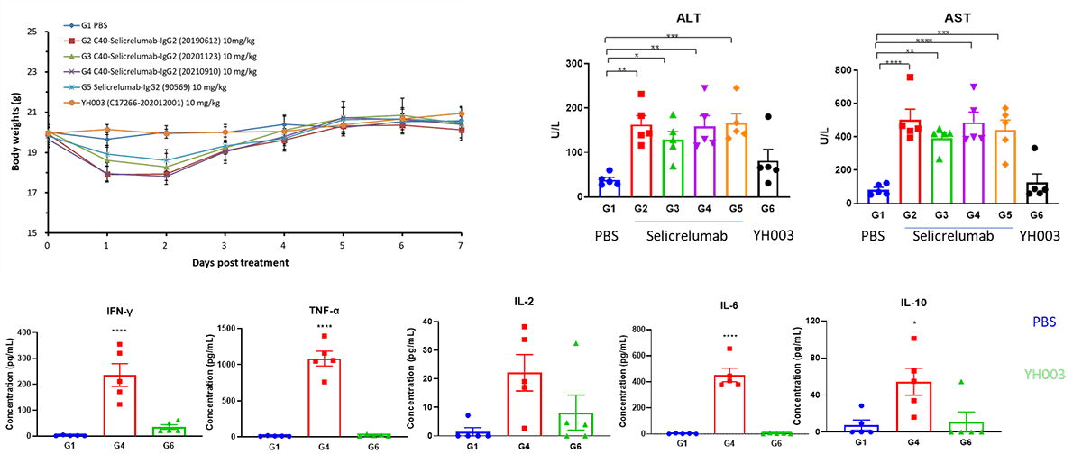 Toxicological profiles of Selicrelumab (analog) in B-hCD40 mice