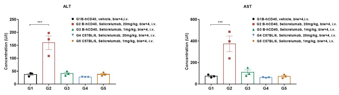 Drug Toxicity Evaluation——Blood Biochemistry & HE Stanning