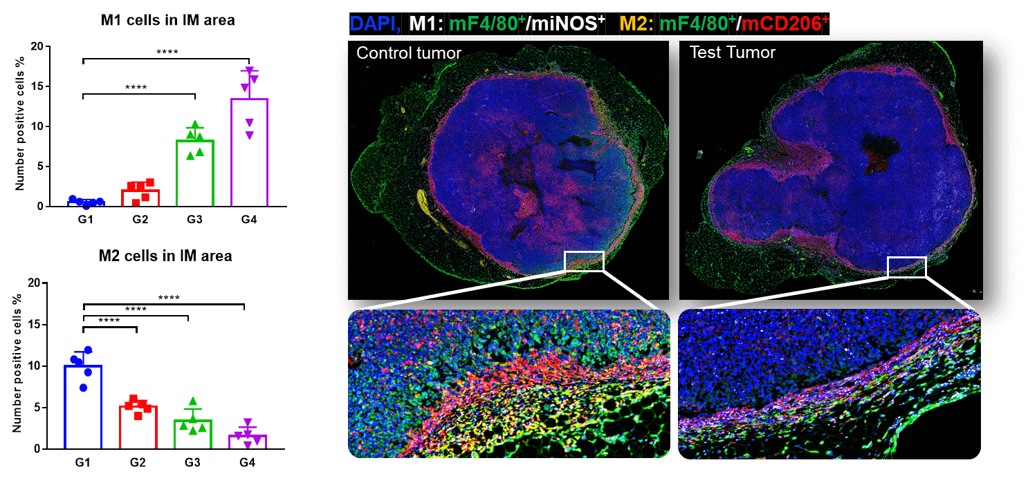 Immune Cell Profiling-Tumor Infiltrating Leukocyte (TIL) Assay 4