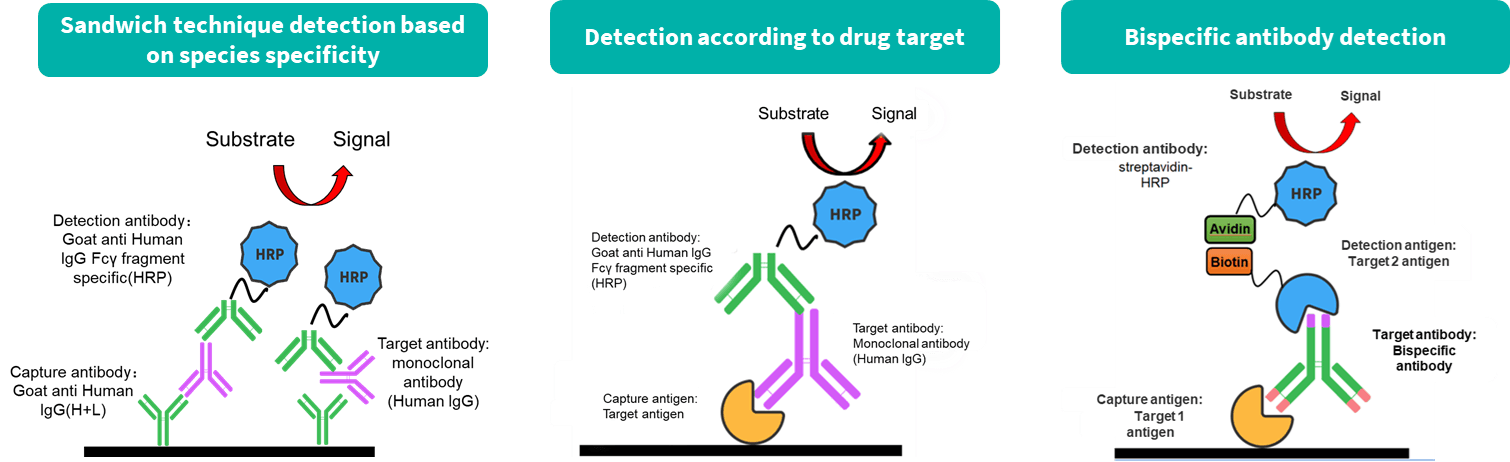 Comparison between sampling methods in detection results 2