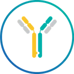 BsAb Platform