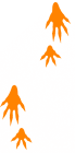 Footprint