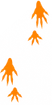 Footprint