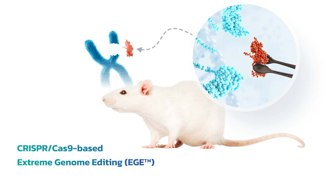Gene Editing