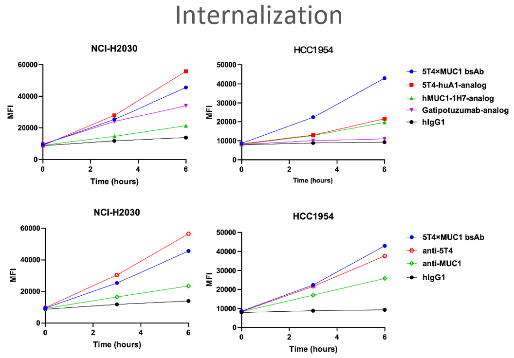 5T4×MUC1 bsAb img 2