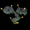 ADC
