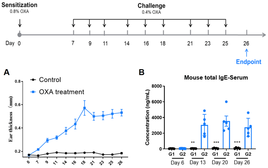 Establishment of OXA-Induced Atopic Dermatitis Mouse Model of C57BL/6 Mice
