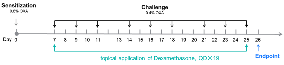 Efficacy Evaluation of Dexamethasone in OXA-Induced Atopic Dermatitis Mouse Model of C57BL/6 Mice