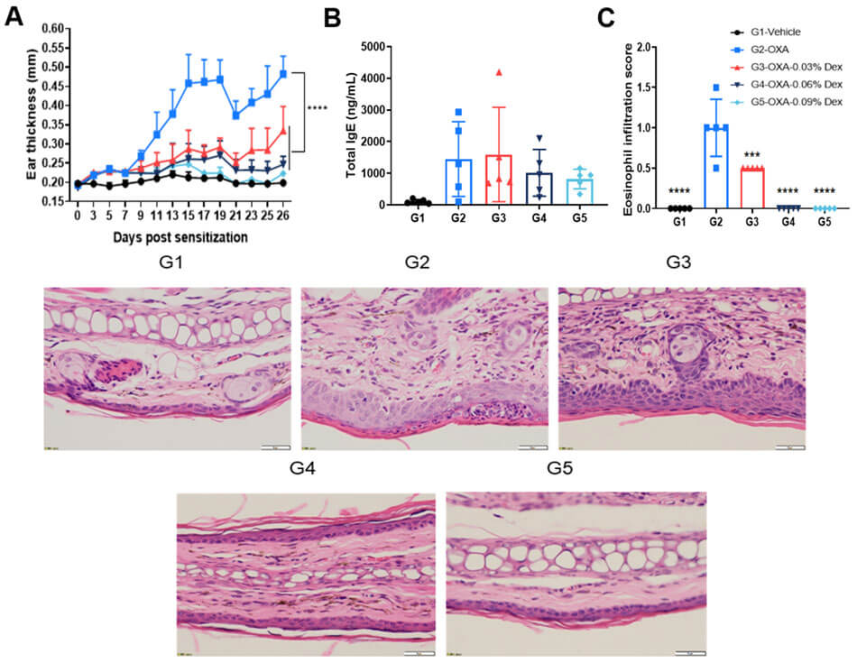 Efficacy Evaluation of Dexamethasone in OXA-Induced Atopic Dermatitis Mouse Model of C57BL/6 Mice 2