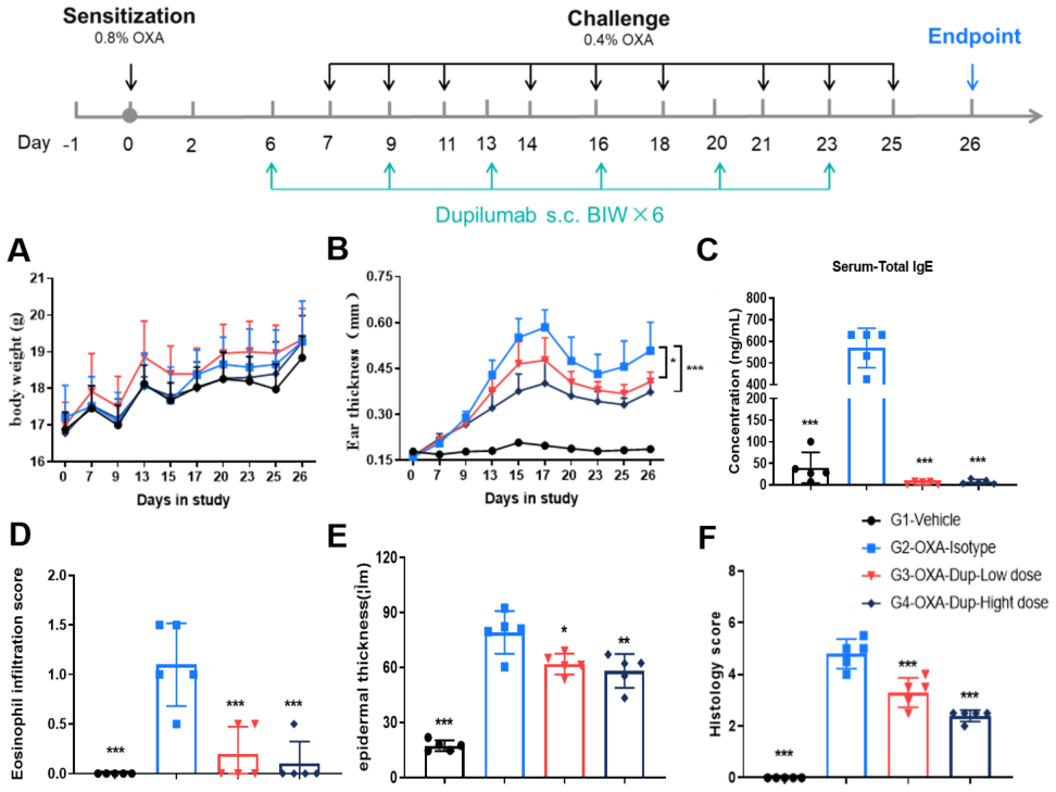 Efficacy Evaluation of Dupilumab in OXA-Induced Atopic Dermatitis Mouse Model of IL4/IL4RA Humanized mice (B-hIL4/hIL4RA mice)