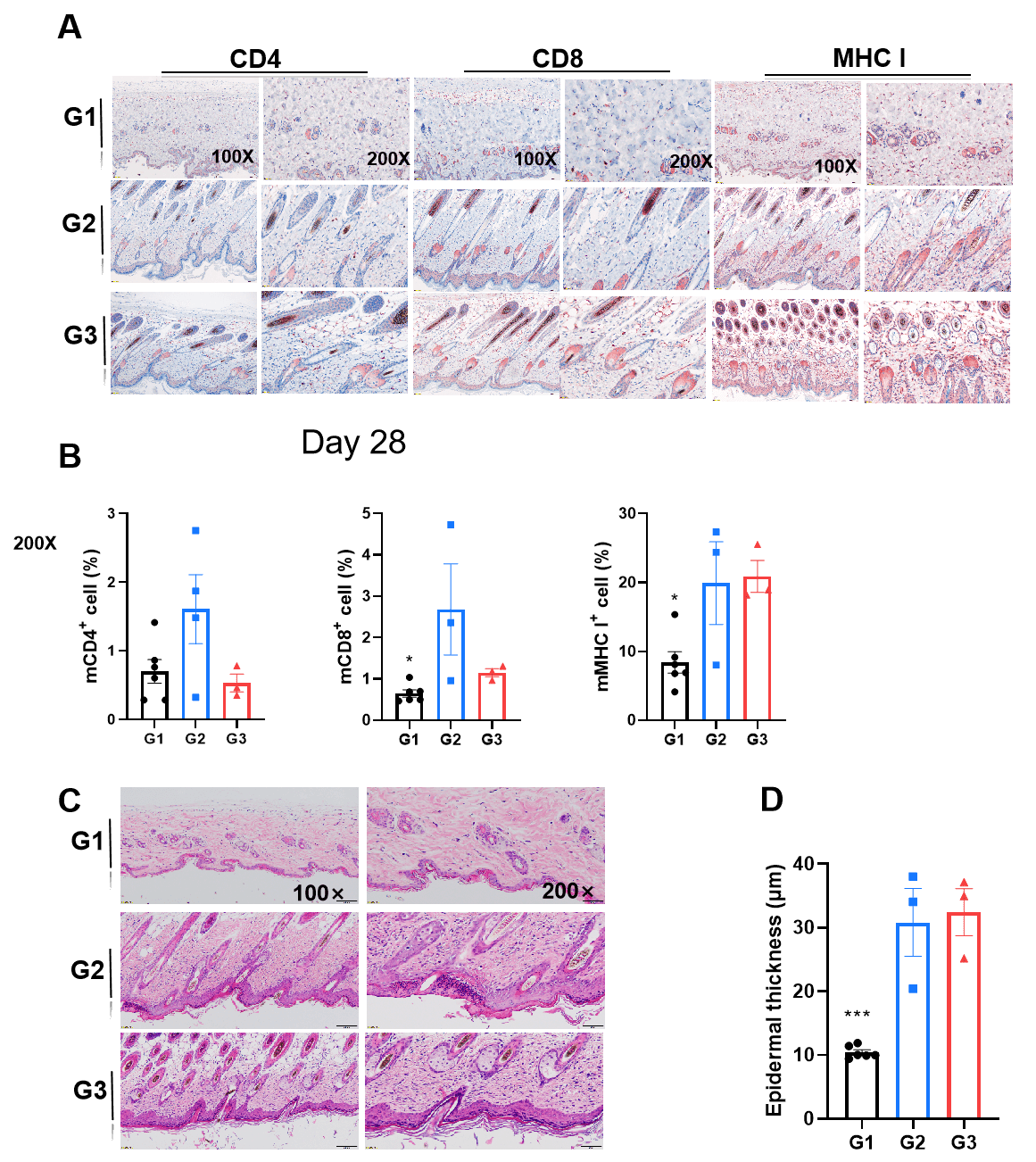 Imiquimod Induced Alopecia Areata in C3H/HeJ and C57BL/6 Mice