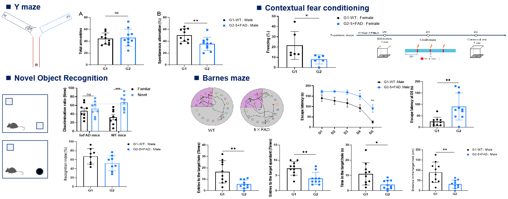 Behavioral tests of Tg (5XFAD) mice(B6)
