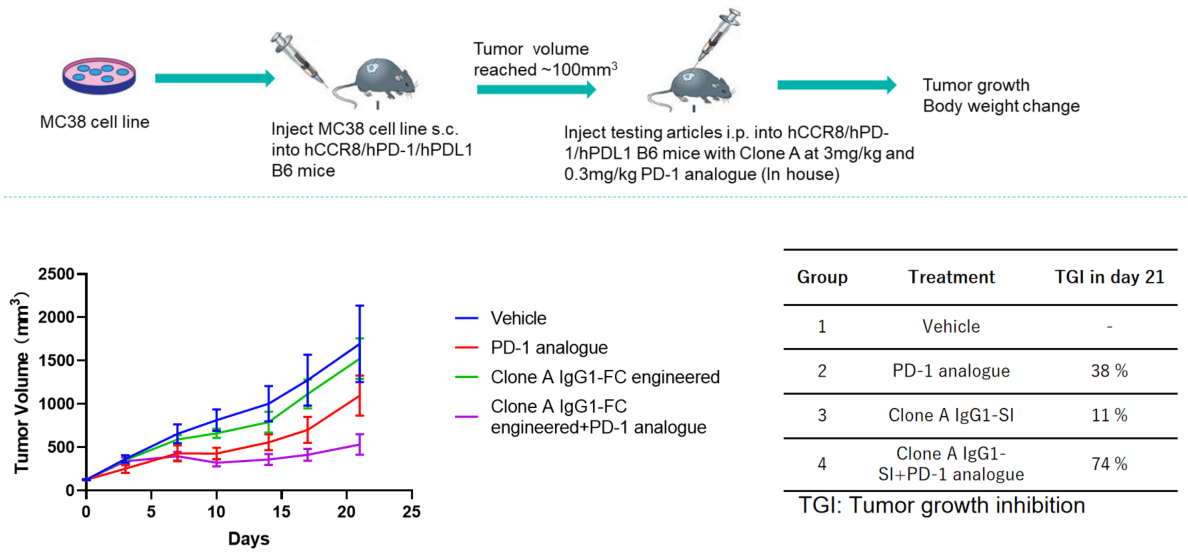5 × 105 MC38 cells (murine colon cancer cells) img