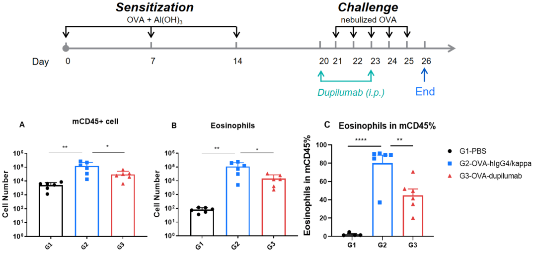 Efficacy Evaluation of the Anti-Human IL4R (Dupilumab) in OVA-Induced Asthma Model of IL4 and IL4 Receptor Humanized Mice