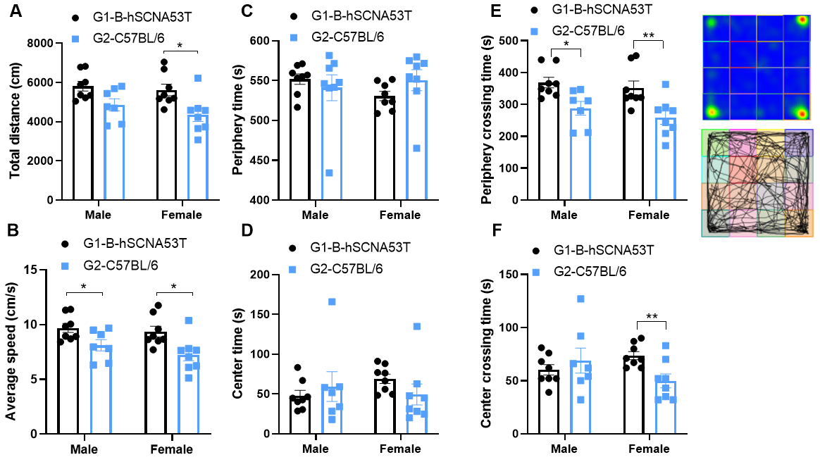 Open field test (OF)