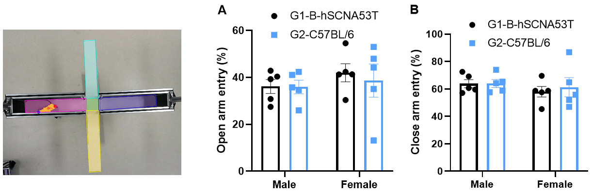 Elevated Plus Maze (EPM)