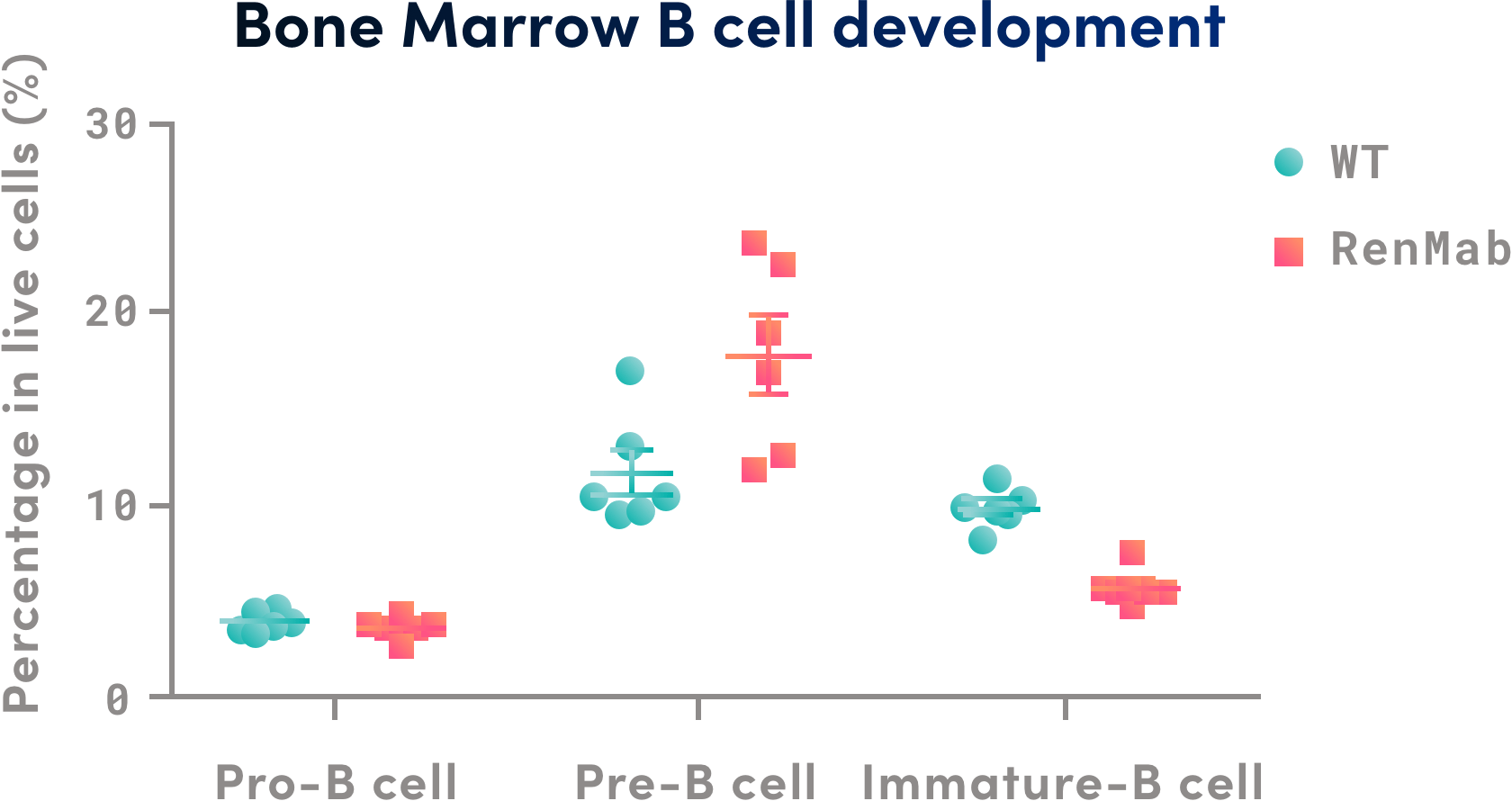 Bone Marrow B cell development