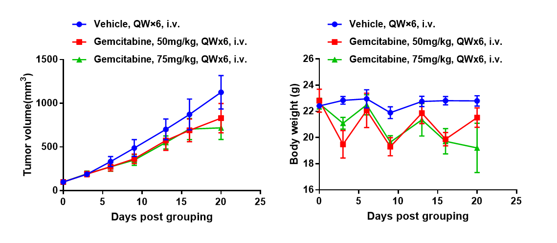 In vivo efficacy of Gemcitabine in pancreatic cancer PDX models