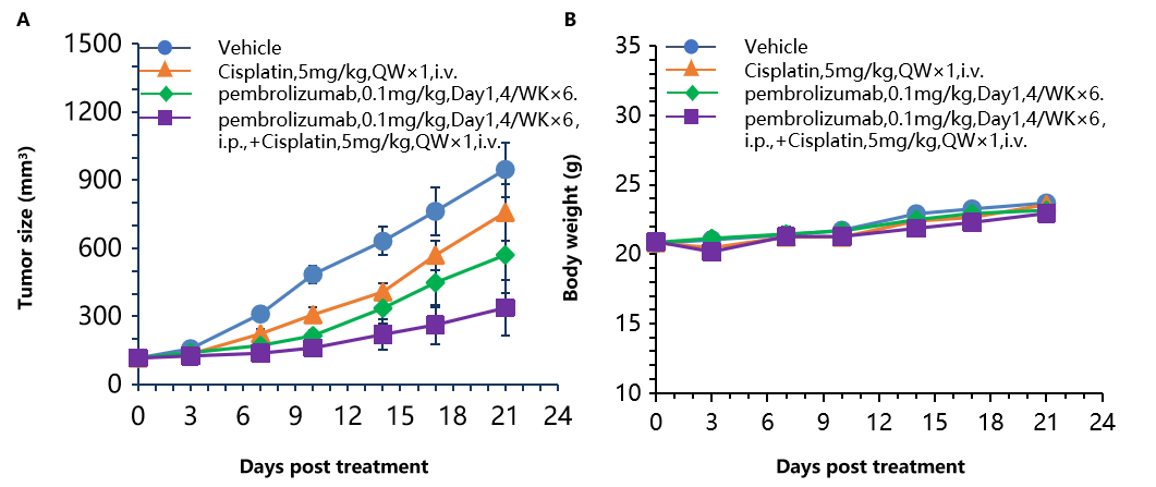 Combination therapy of anti-human PD-1 Ab and chemotherapy drug