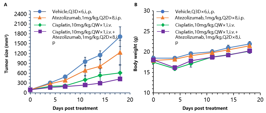 Combination therapy of anti human PD-L1 Ab and chemotherapy drug