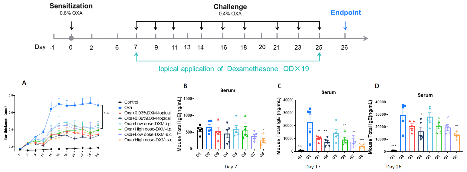 Efficacy Evaluation of Dexamethasone in OXA-induced AD Model of BALB/c Mice