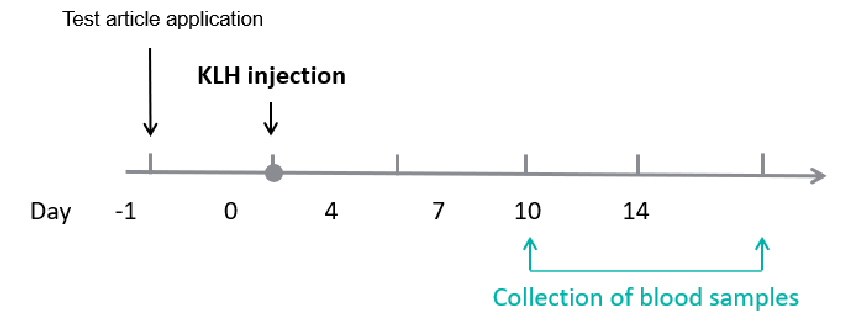 Efficacy Evaluation of Antibodies in TDAR Model of CD40/CD40L Humanized Mice