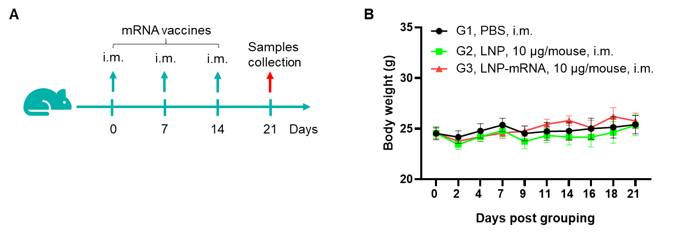 Immunogenicity testing of mRNA vaccines (NY-ESO-1)