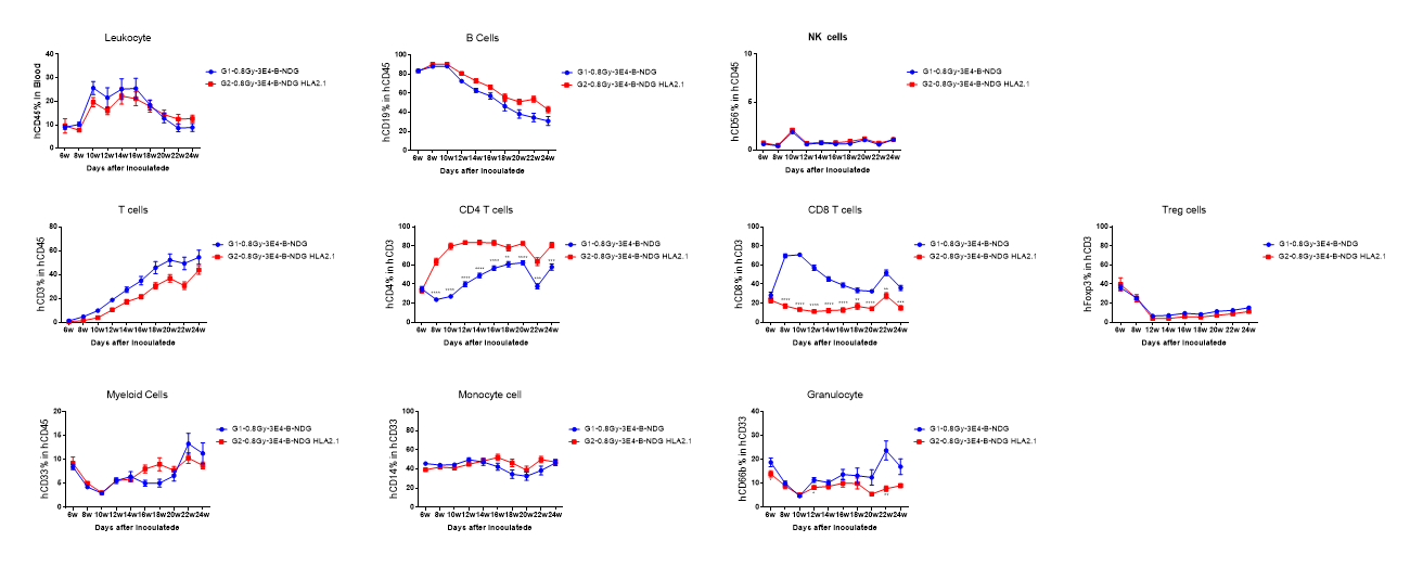 Figure 2. Human CD34+ HSCs were successfully engrafted in B-NDG HLA-A2.1 mice.