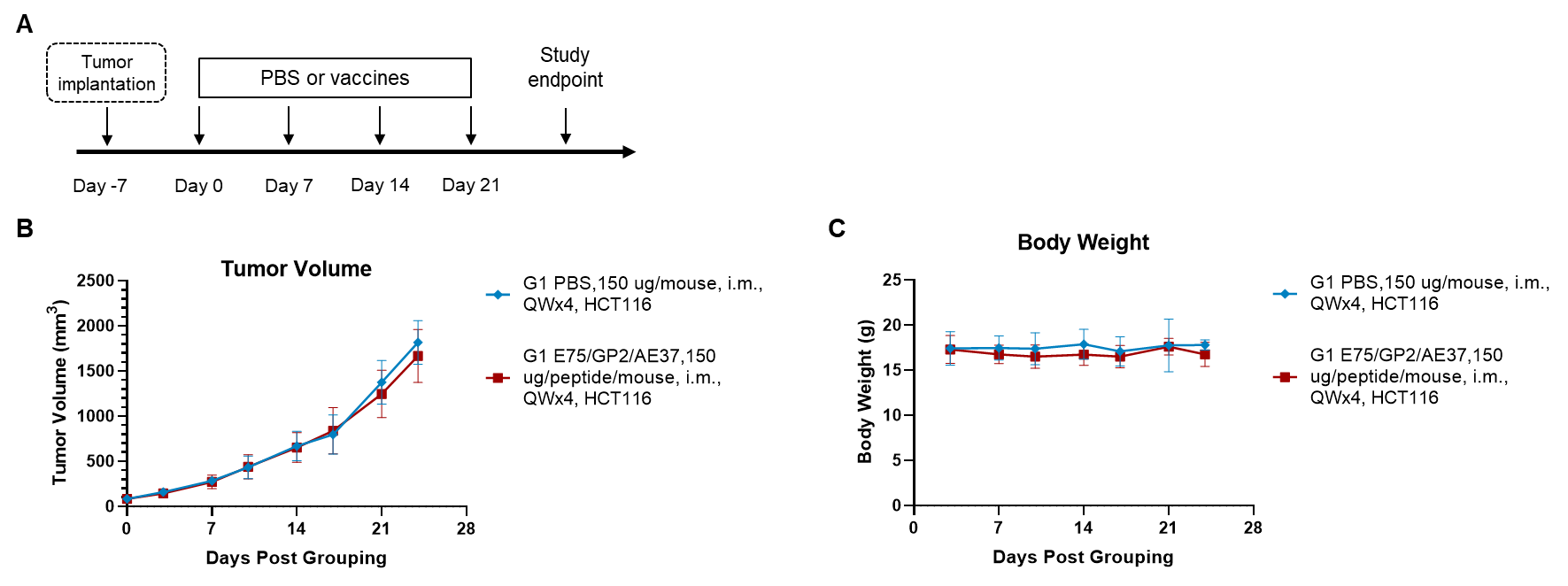 Figure 1. Antitumor activity of peptide vaccines in xenograft tumors.